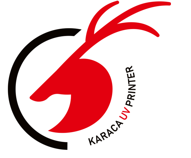 Two Girls working together